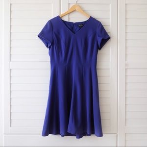 Tahari Blue Dress